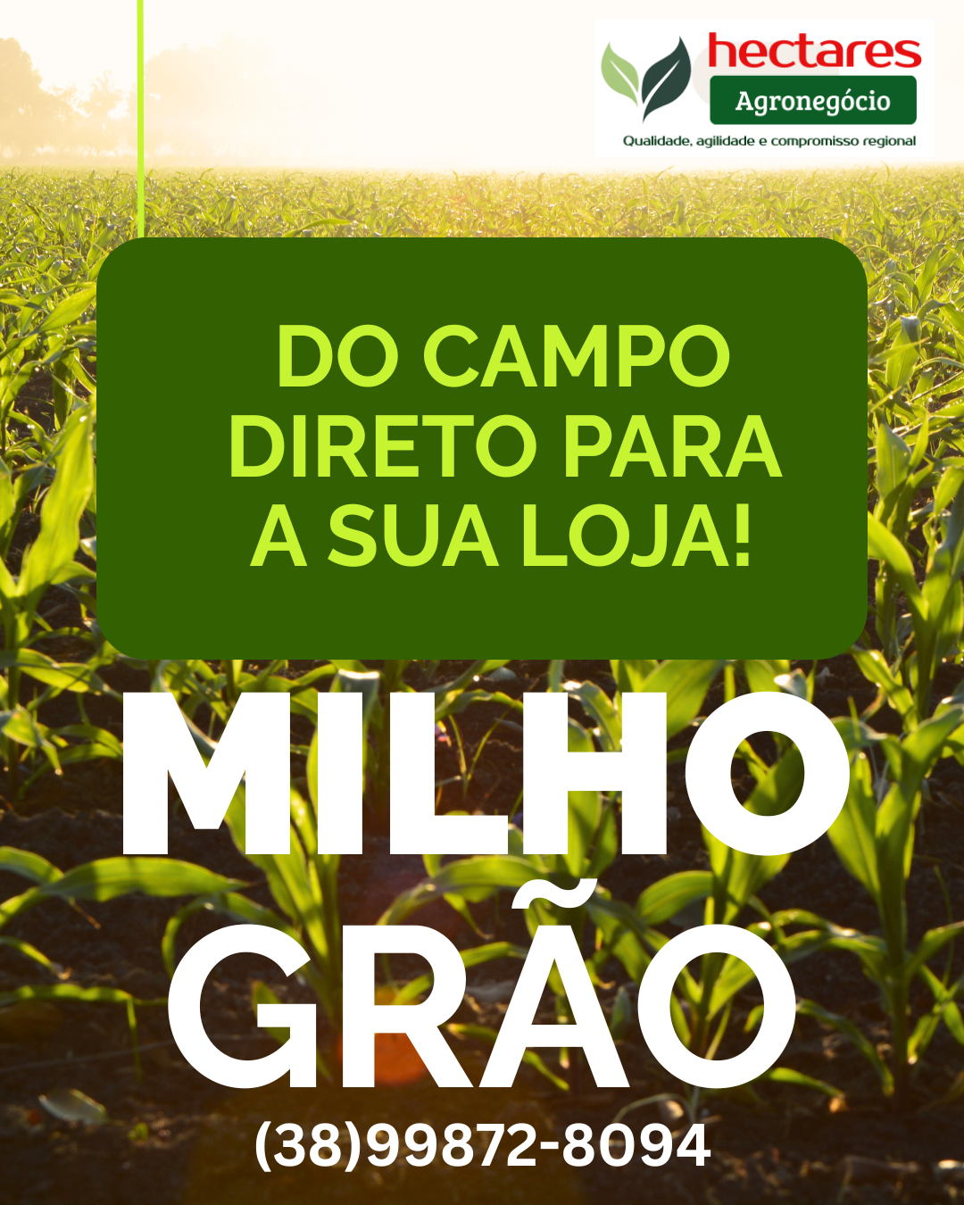 Post-mlho.png